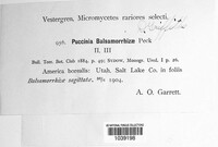 Image Associated With the Occurence